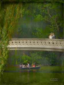 Helen Owen Central Park Wedding Bow Bridge painting